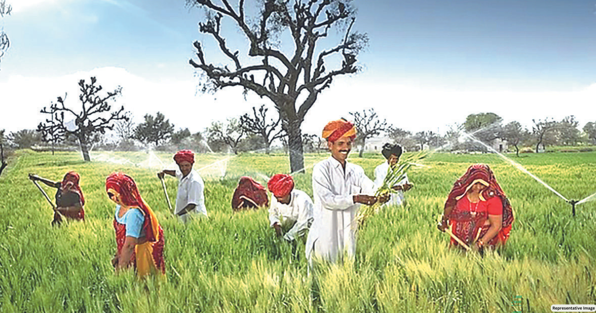 Fin Min Diya Kumari ushers new era for farmers with ‘Budget for Dhartiputra’